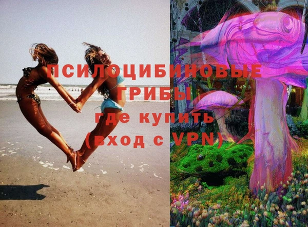 PSILOCYBIN Гусь-Хрустальный