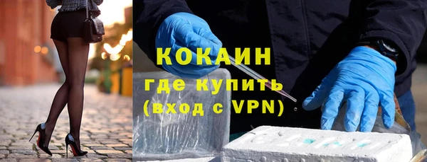 тгк Дмитриев