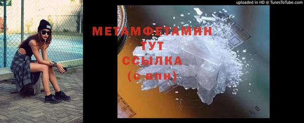 тгк Дмитриев