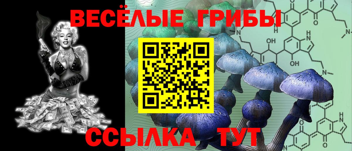 Вичуга  Псилоцибиновые грибы Psilocybine cubensis  Псилоцибиновые грибы мухоморы  Вход с VPN 