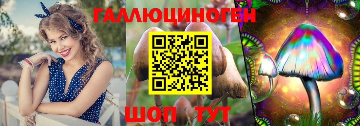 Галлюциногенные грибы Magic Shrooms  Вичуга 