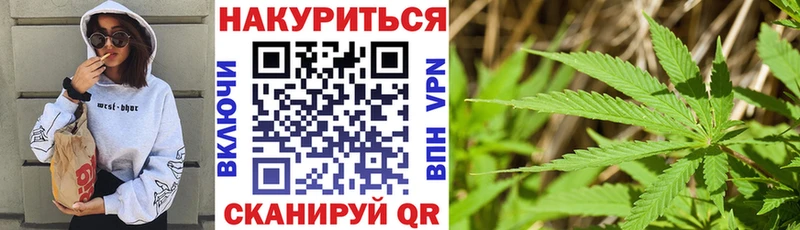 где купить наркоту  Вичуга  Шишки марихуана конопля 