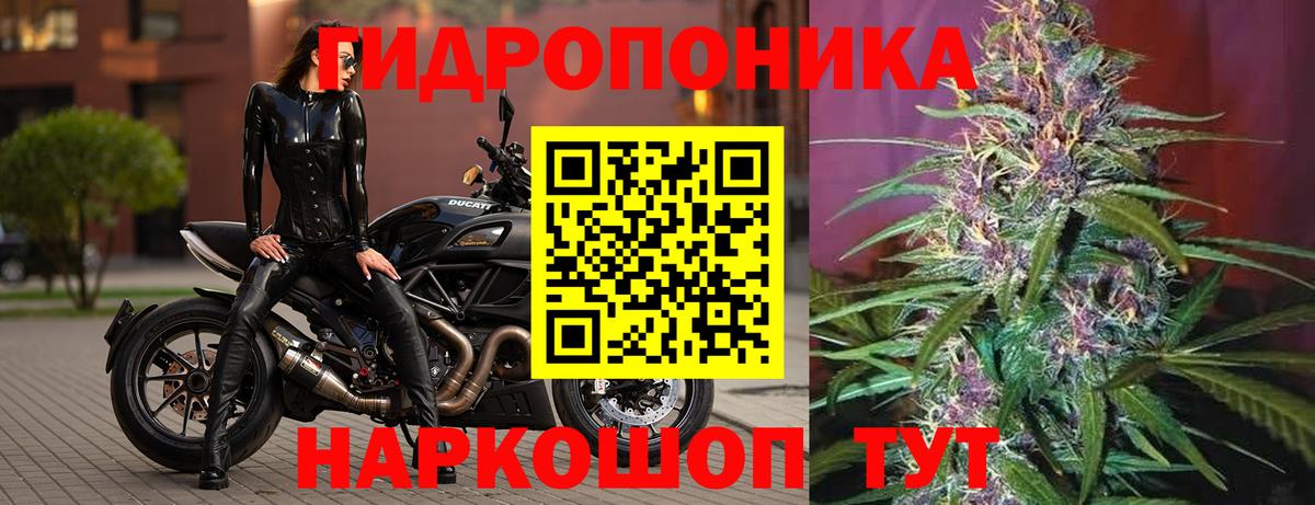 Канабис конопля Вичуга
