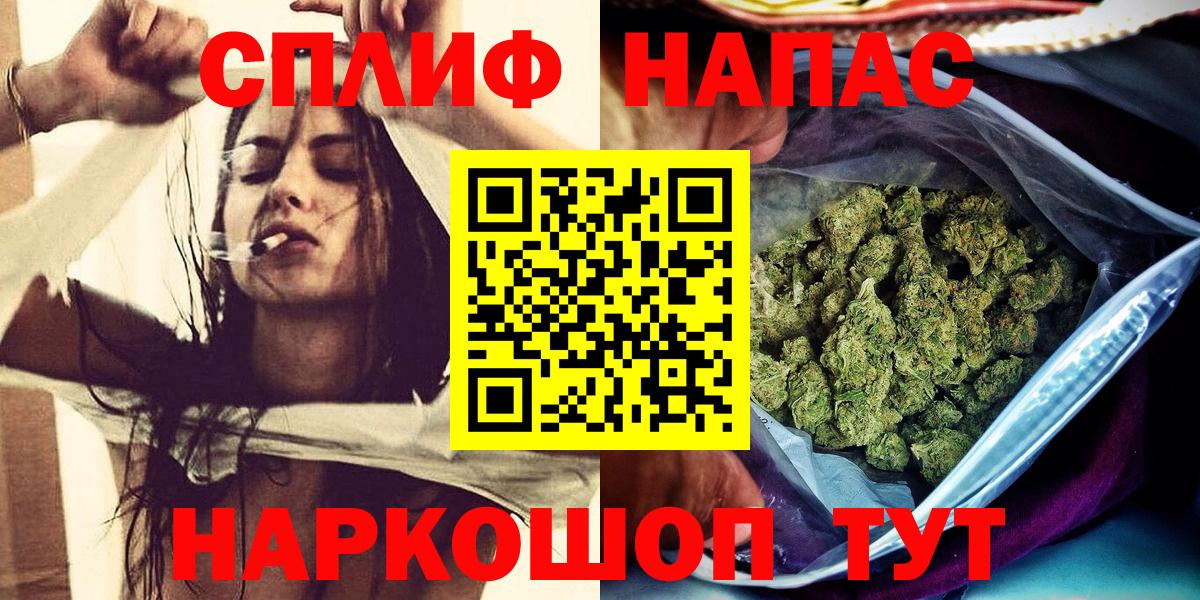 Конопля индика  Канабис ГИДРОПОН  Марихуана план  Канабис сатива  Вичуга  Вход с VPN 